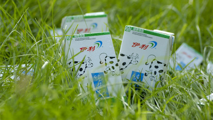 Into Yili - Yili