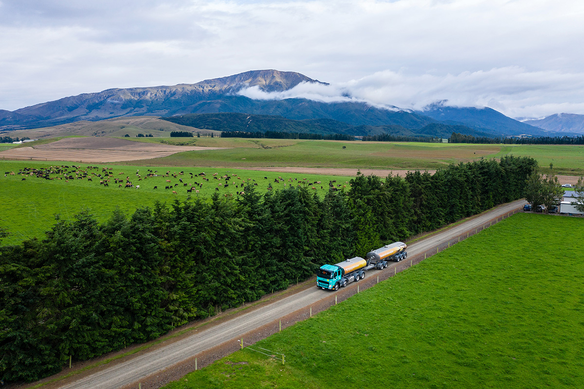 New Butter Production Line in New Zealand Put into Operation As the Largest Overseas Butter Factory of Chinese Dairy Enterprises - Yili