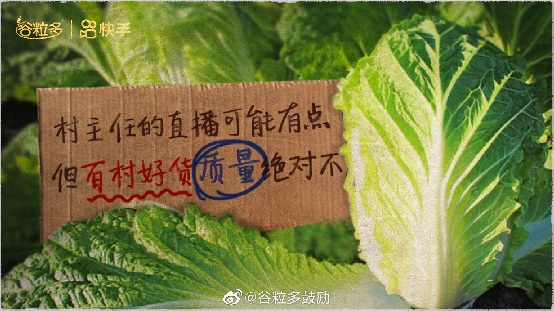 米乐m6官网登录入口官网