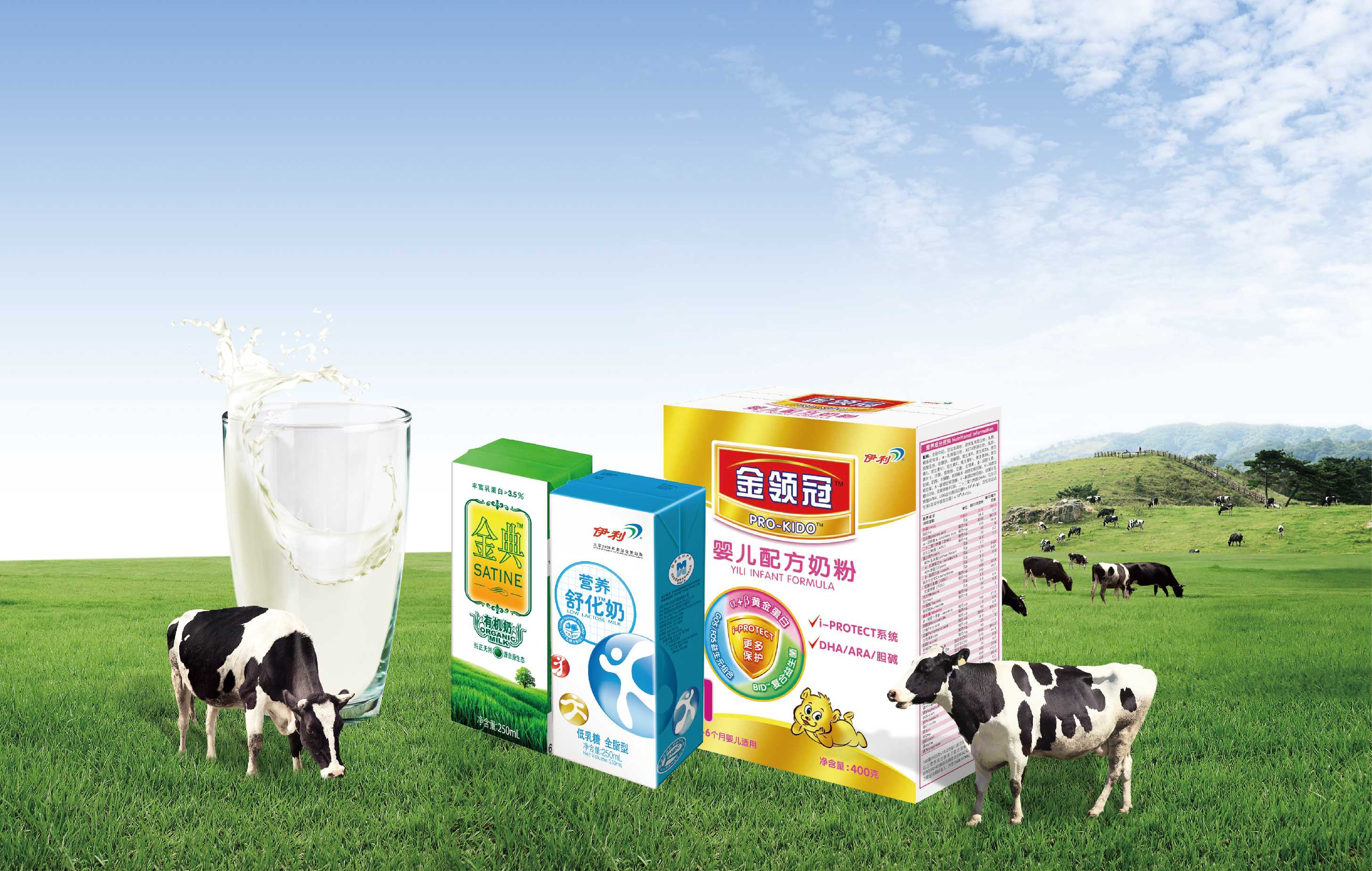 Into Yili - Yili