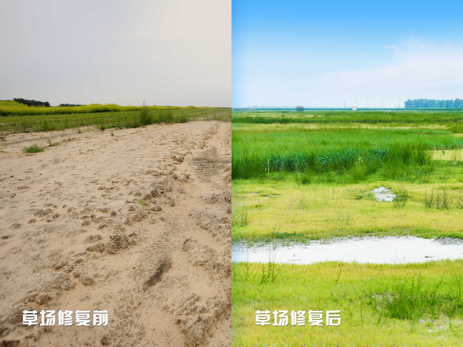 米乐m6官网登录入口官网