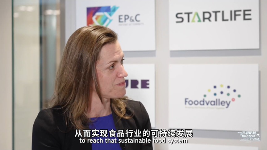 Yili’s 2024 Online Tour： Get a Behind-the-Scenes Look at Dairy Innovation in the Netherlands - Yili