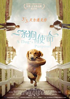 善良的朋友妻子(2019)