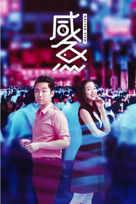 迈普视频处理器官网