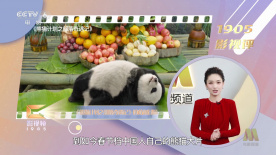 久久久久久99精品